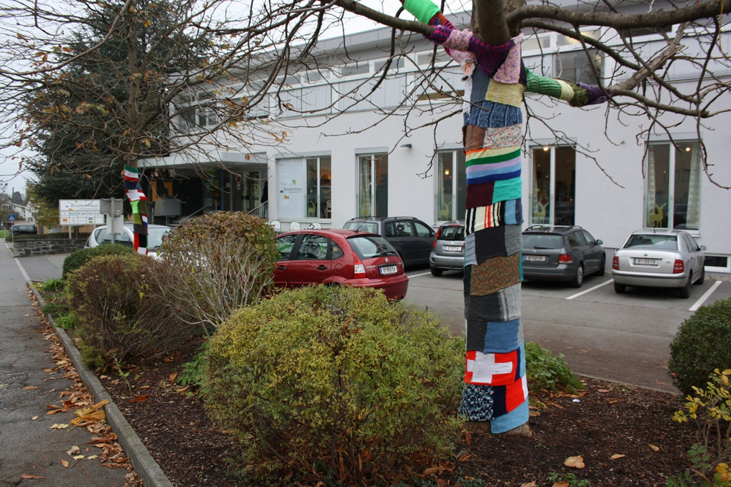 Friedensschal um die B__ume 2013 _6_.jpg