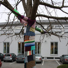 Friedensschal um die B__ume 2013 _7_.jpg