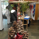DSCN1011.JPG