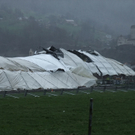 Rorschach: Sturm fordert ein dutzend Einsätze