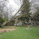 Sturmschäden in Höchst