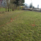 DSCN0601.JPG