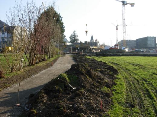 DSCN0641.JPG