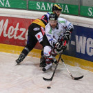 IMG_7765.jpg