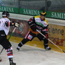 IMG_7774.jpg