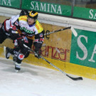 IMG_7888.jpg