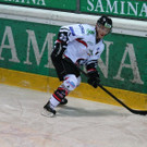 IMG_7953.jpg