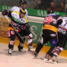 IMG_7986.jpg