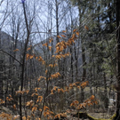 _DSC00160007_1_JPG-1269609260
