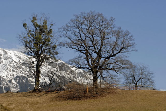 _DSC02230070_1_JPG-1269609760
