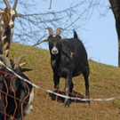 _DSC02300075_1_JPG-1269610166