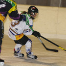 IMG_7232.jpg