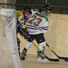 IMG_7239.jpg