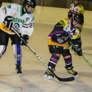 IMG_7596.jpg