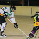 IMG_7294.jpg