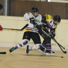 IMG_7306.jpg