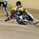 IMG_7337.jpg