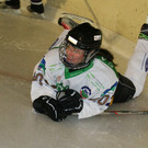 IMG_7412.jpg