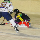 IMG_7472.jpg