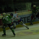 PB240041.JPG