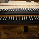 DSCN0834.JPG