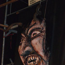 DSC_0351.jpg