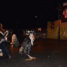 DSC_0436.jpg