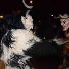 DSC_0445.jpg