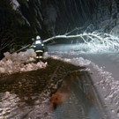 2013_11_24_FF_Trattenbach_Sturmschaden_Feistritzsattel_03.jpg