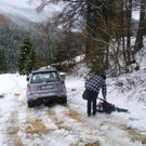 2013_11_24_FF_Trattenbach_Sturmschaden_Feistritzsattel_20.jpg