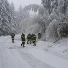 2013_11_24_FF_Trattenbach_Sturmschaden_Feistritzsattel_24.jpg