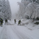 2013_11_24_FF_Trattenbach_Sturmschaden_Feistritzsattel_26.jpg