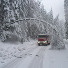 2013_11_24_FF_Trattenbach_Sturmschaden_Feistritzsattel_47.jpg