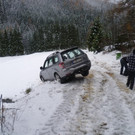 2013_11_24_FF_Trattenbach_Sturmschaden_Feistritzsattel_59.jpg