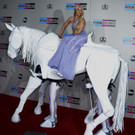 IBD0212-20131125.jpg