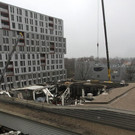 IBD0470-20131123.jpg