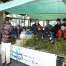 Mistelaktion 09.JPG