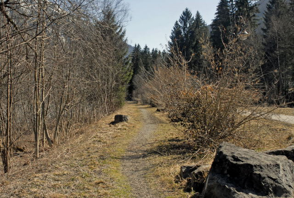 _DSC00110004_1_JPG-1269619040