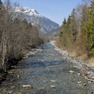 _DSC00290011_1_JPG-1269619263