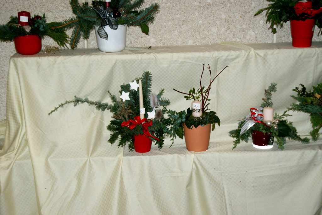 DSC05213.JPG
