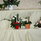 DSC05213.JPG