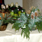 DSC05218.JPG