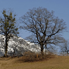 _DSC02230070_1_JPG-1269619543