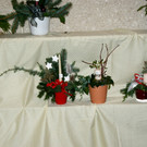 DSC05213.JPG