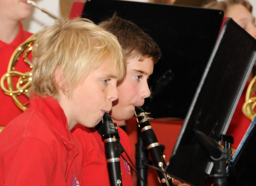 Cacilienkonzert 2013 3.jpg