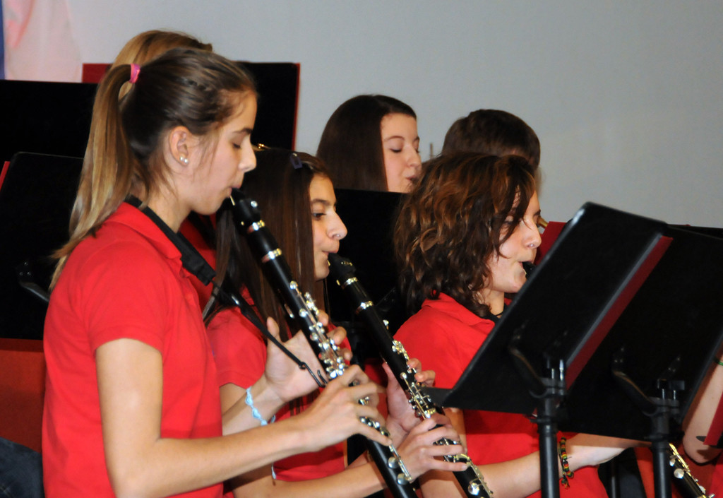 Cacilienkonzert 2013 12.jpg