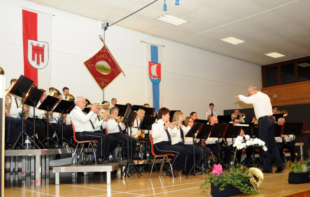Cacilienkonzert 2013 23.jpg
