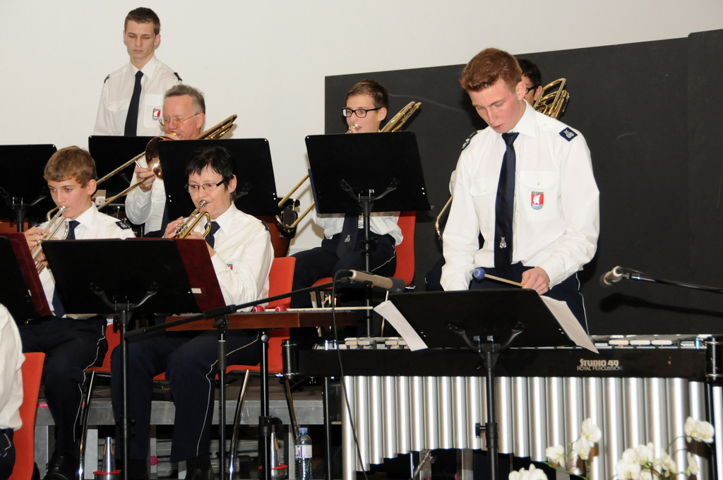 Cacilienkonzert 2013 34.jpg