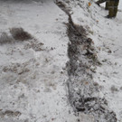 DSC_0036.jpg