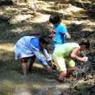 Dscn0115.jpg